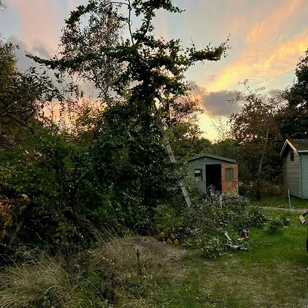 Modern Summer House By Samso's Waterfront